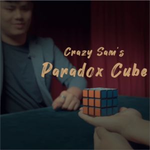 Paradox Cube by Crazy Sam's